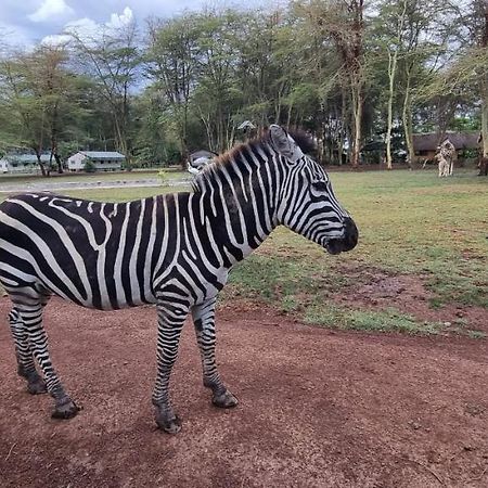 Africa Safari Lake Manyara Located Inside A Wildlife Park Мто-ва-Мбу Экстерьер фото