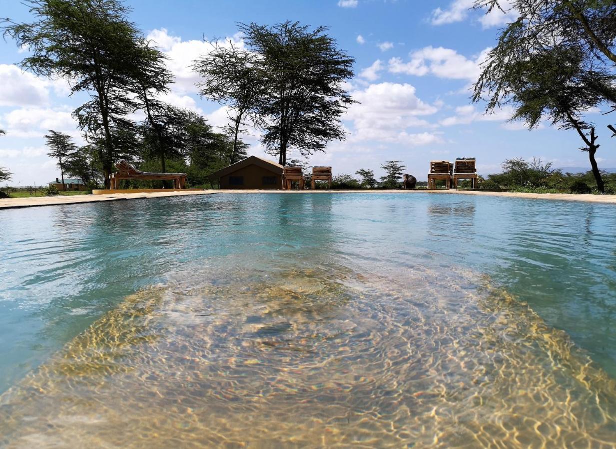 Africa Safari Lake Manyara Located Inside A Wildlife Park Мто-ва-Мбу Экстерьер фото