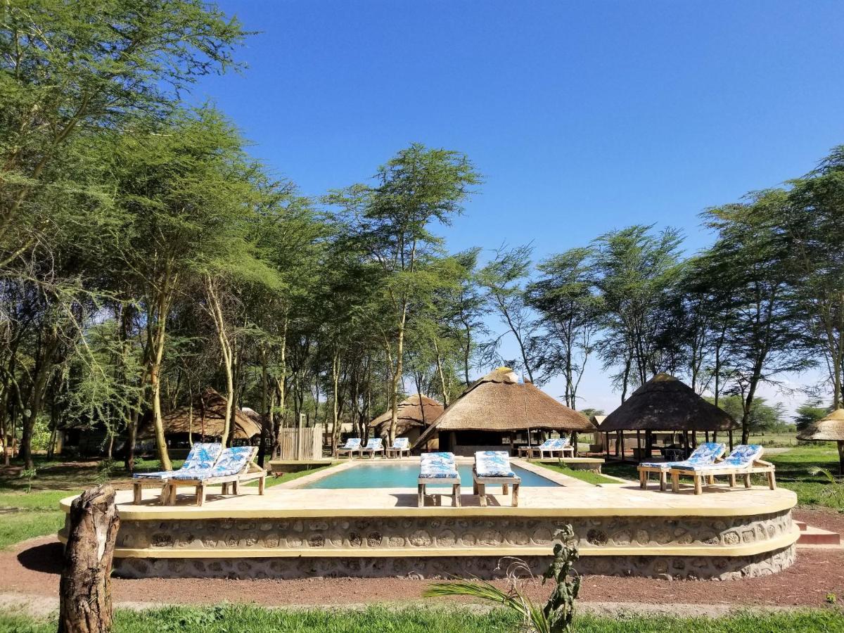 Africa Safari Lake Manyara Located Inside A Wildlife Park Мто-ва-Мбу Экстерьер фото