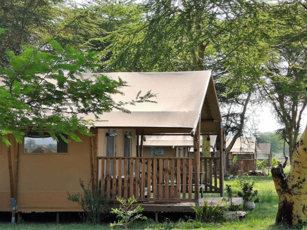Africa Safari Lake Manyara Located Inside A Wildlife Park Мто-ва-Мбу Экстерьер фото