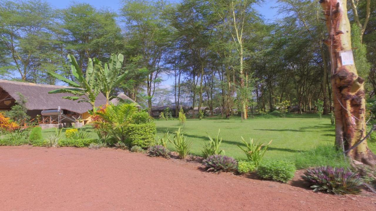 Africa Safari Lake Manyara Located Inside A Wildlife Park Мто-ва-Мбу Экстерьер фото