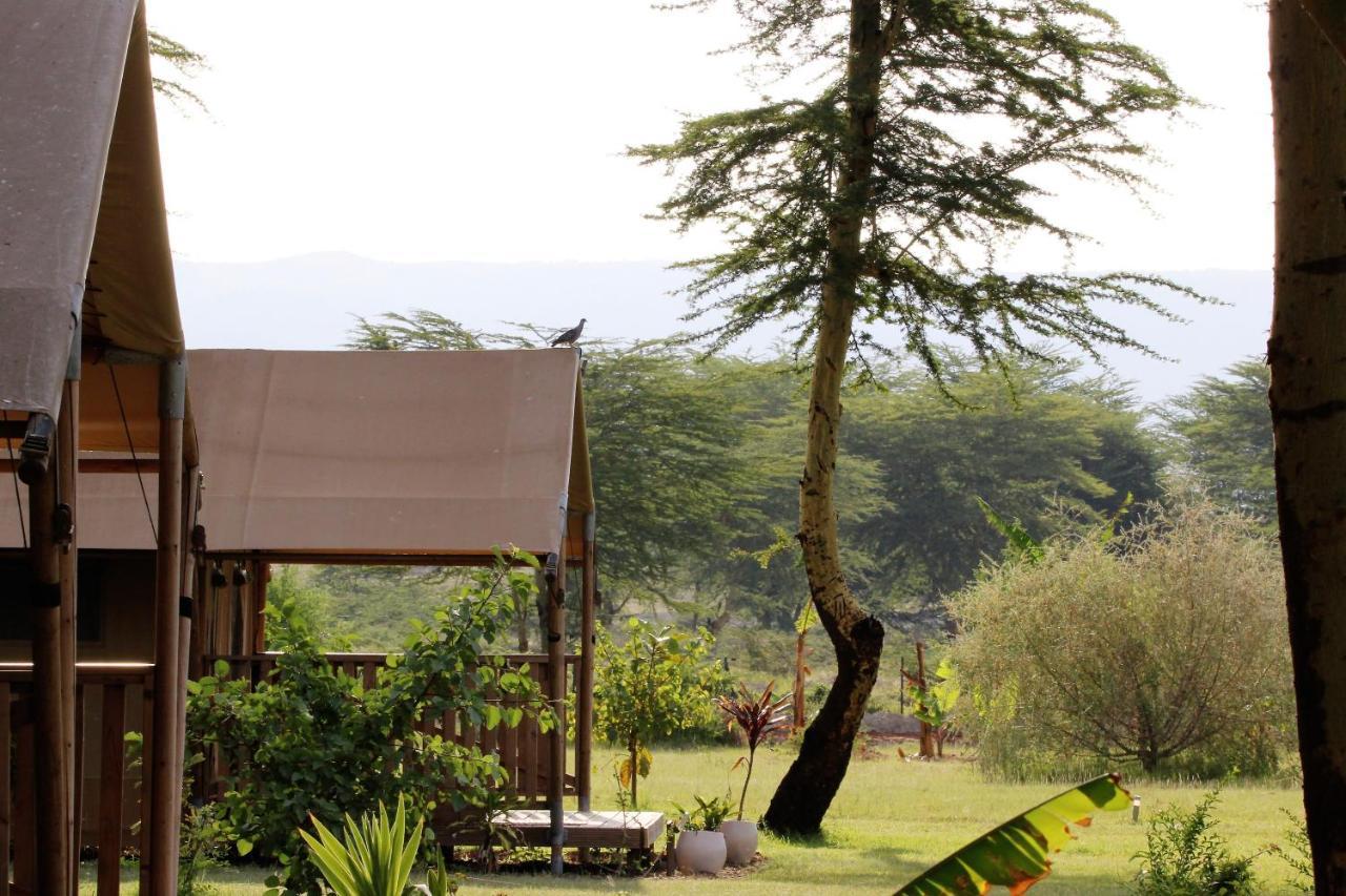 Africa Safari Lake Manyara Located Inside A Wildlife Park Мто-ва-Мбу Экстерьер фото
